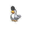 Sqawkabily